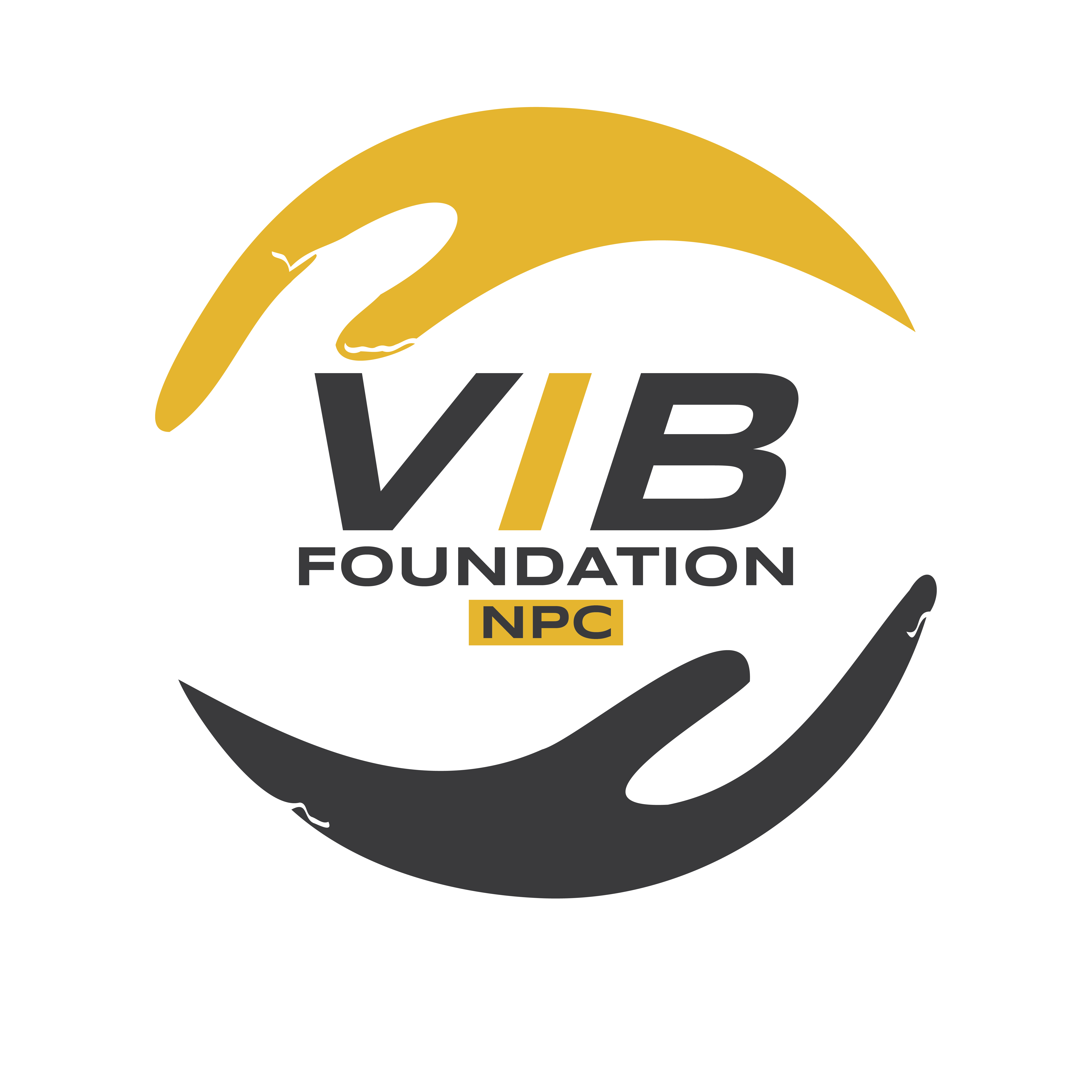 V I B Foundation NPC 