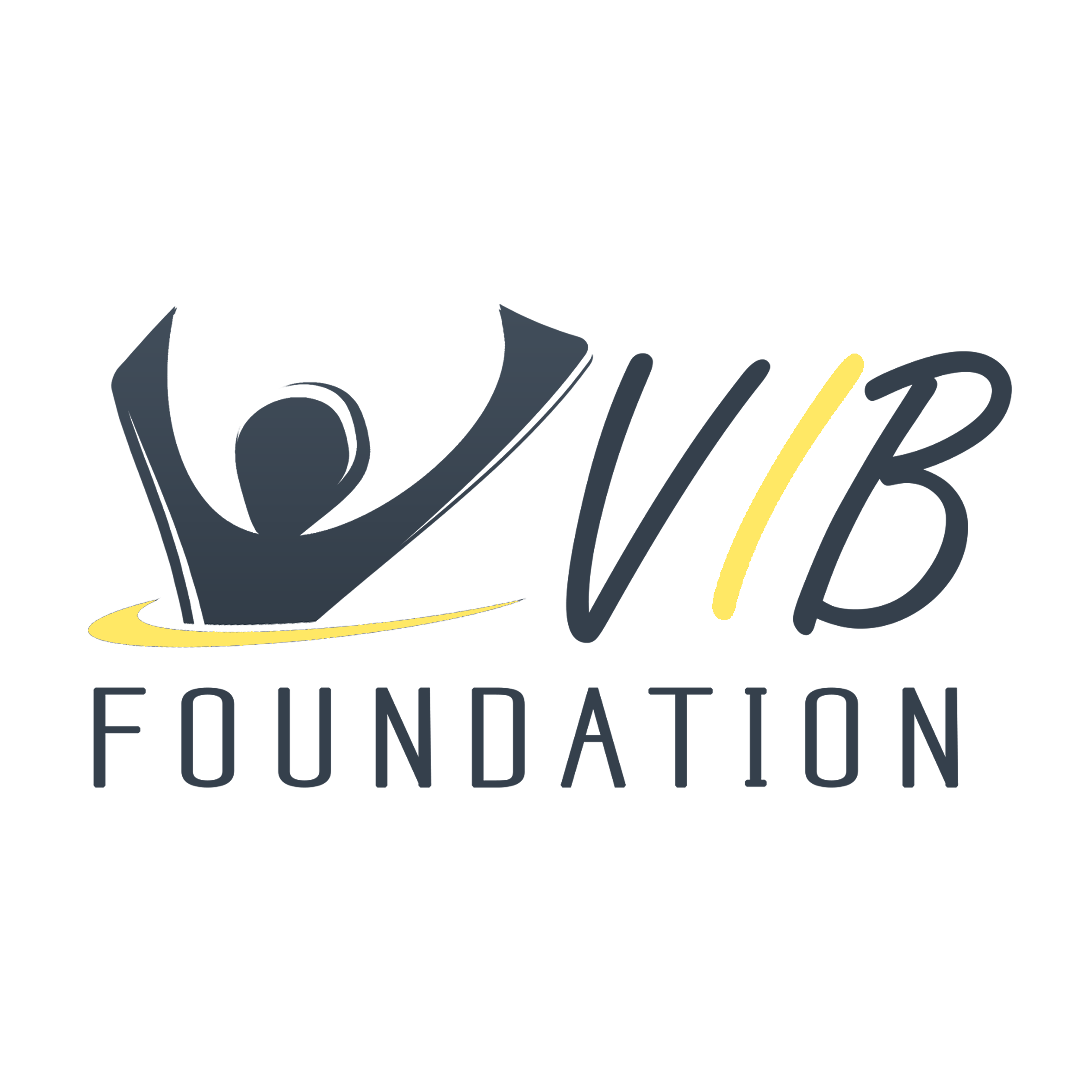 V I B Foundation NPC 